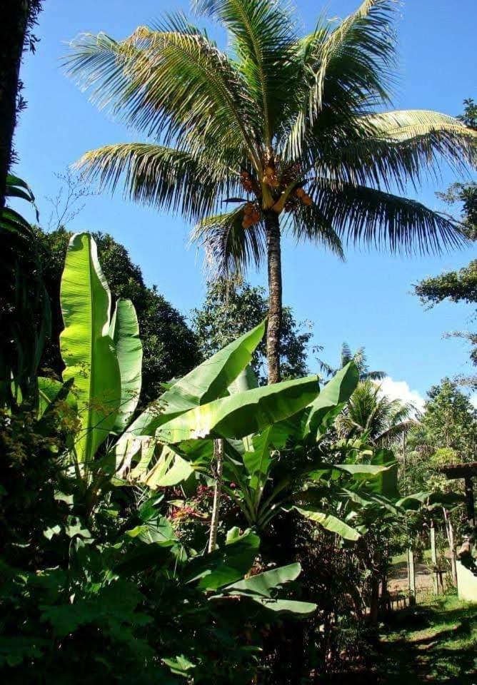 Pousada Villa Da Gama Araquari Zimmer foto