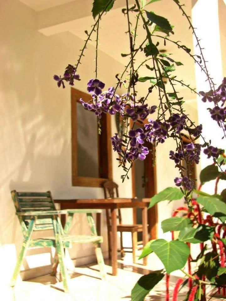 Pousada Villa Da Gama Araquari Zimmer foto