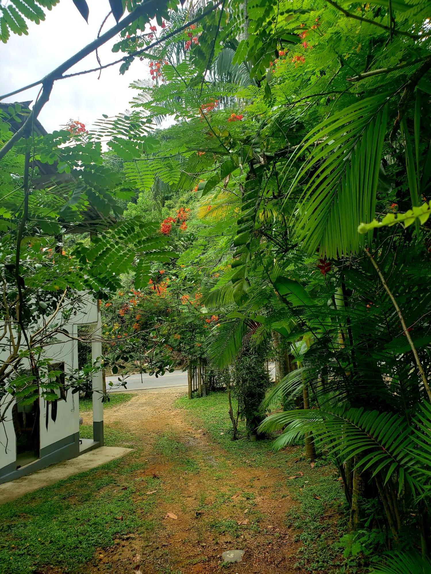 Pousada Villa Da Gama Araquari Zimmer foto
